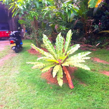 Nadee Villa Bentota Exterior photo